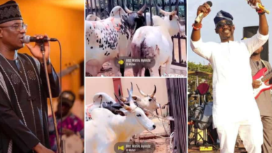 Fans React as Kwam 1 Gifts Pasuma 6 Cows for His Mother’s Burial, Video Trends