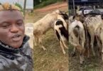 "Singer Portable Excitedly Purchases 5 Cows and 2 Rams for Sallah, Exclaims 'Akoi Cow Lee'"