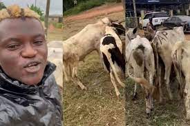 "Singer Portable Excitedly Purchases 5 Cows and 2 Rams for Sallah, Exclaims 'Akoi Cow Lee'"